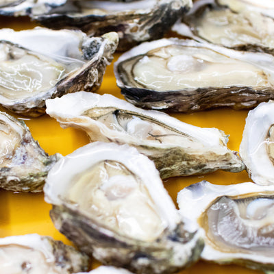 Oysters, the natural multi-mineral wholefood supplement