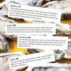 Pure Oyster Capsules™