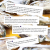 Pure Oyster Capsules™
